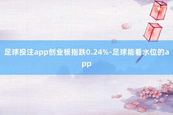 足球投注app创业板指跌0.24%-足球能看水位的app