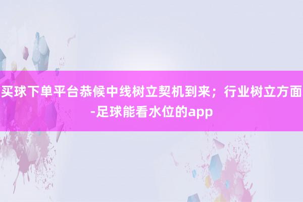 买球下单平台恭候中线树立契机到来；行业树立方面-足球能看水位的app