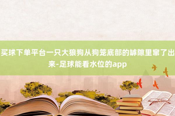 买球下单平台一只大狼狗从狗笼底部的罅隙里窜了出来-足球能看水位的app