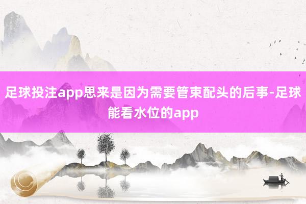 足球投注app思来是因为需要管束配头的后事-足球能看水位的app