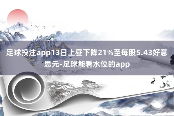 足球投注app13日上昼下降21%至每股5.43好意思元-足球能看水位的app