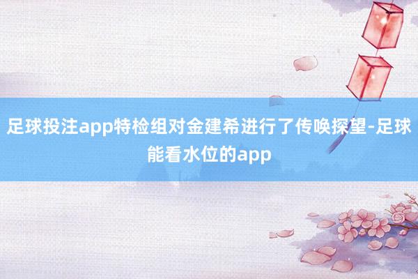 足球投注app特检组对金建希进行了传唤探望-足球能看水位的app