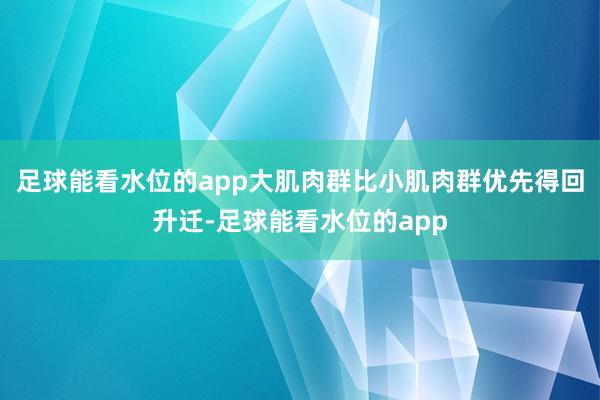足球能看水位的app大肌肉群比小肌肉群优先得回升迁-足球能看水位的app