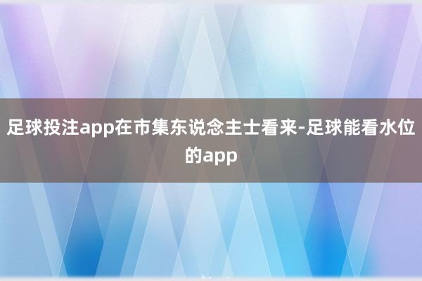 足球投注app　　在市集东说念主士看来-足球能看水位的app