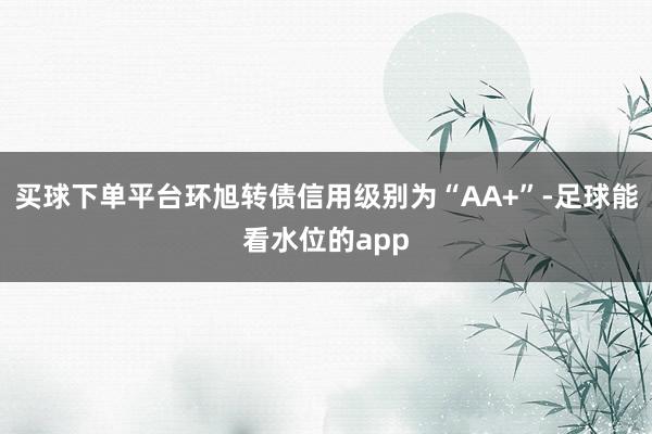 买球下单平台环旭转债信用级别为“AA+”-足球能看水位的app