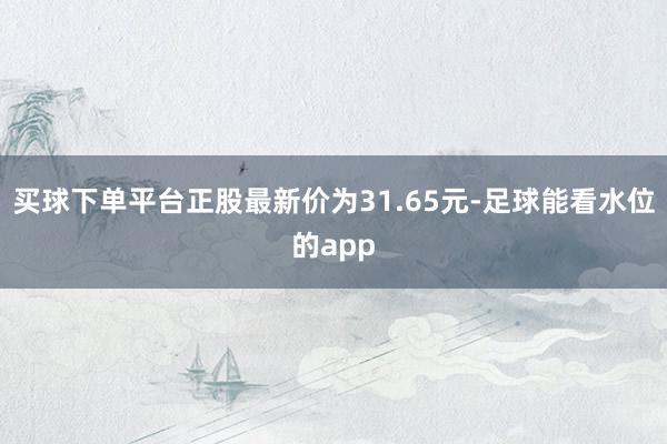 买球下单平台正股最新价为31.65元-足球能看水位的app