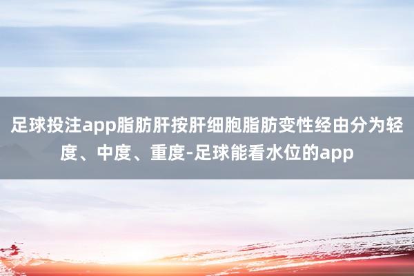 足球投注app脂肪肝按肝细胞脂肪变性经由分为轻度、中度、重度-足球能看水位的app