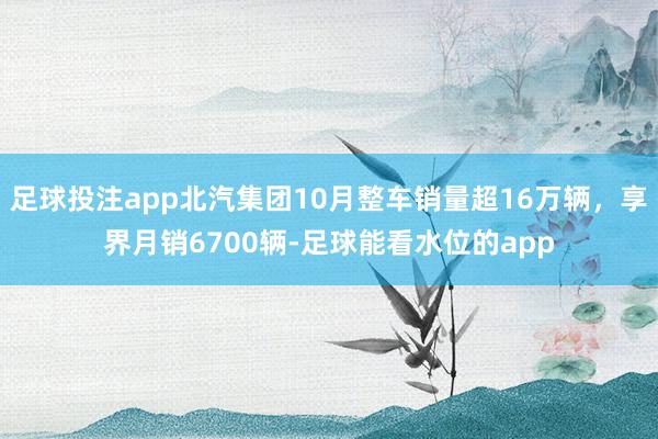 足球投注app北汽集团10月整车销量超16万辆，享界月销6700辆-足球能看水位的app