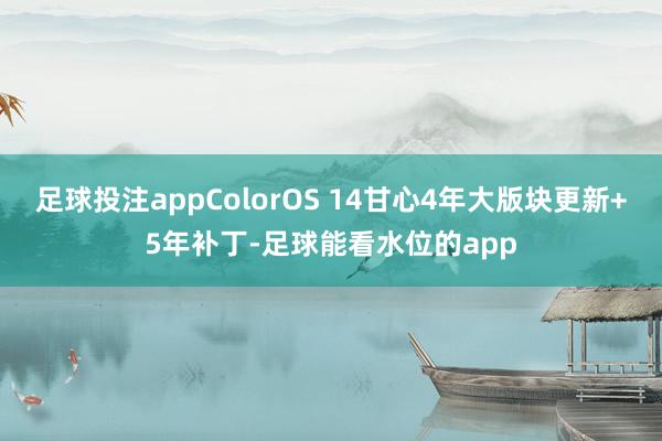 足球投注appColorOS 14甘心4年大版块更新+5年补丁-足球能看水位的app