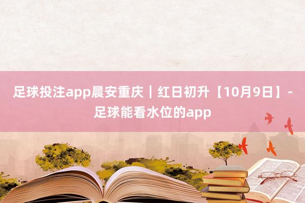 足球投注app晨安重庆｜红日初升【10月9日】-足球能看水位的app