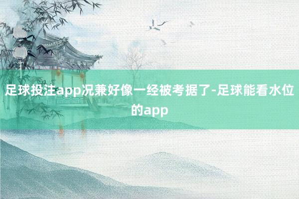 足球投注app况兼好像一经被考据了-足球能看水位的app