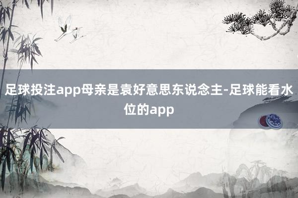 足球投注app母亲是袁好意思东说念主-足球能看水位的app