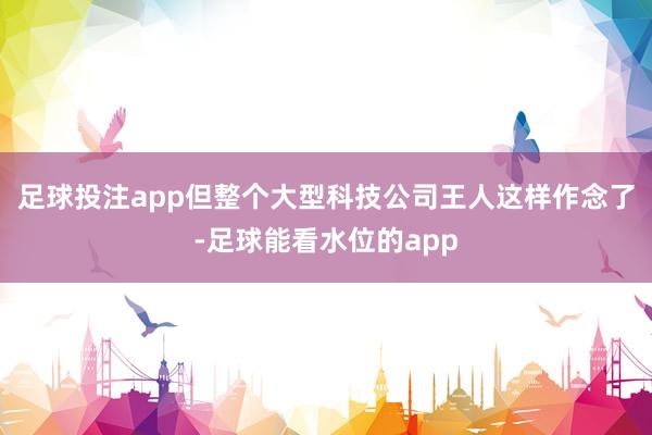 足球投注app但整个大型科技公司王人这样作念了-足球能看水位的app