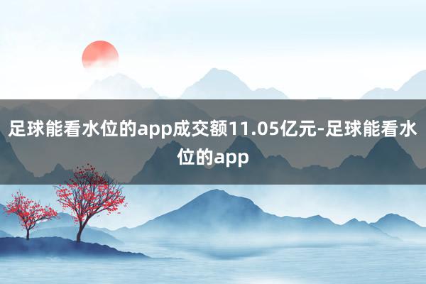 足球能看水位的app成交额11.05亿元-足球能看水位的app