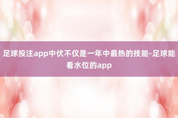 足球投注app中伏不仅是一年中最热的技能-足球能看水位的app
