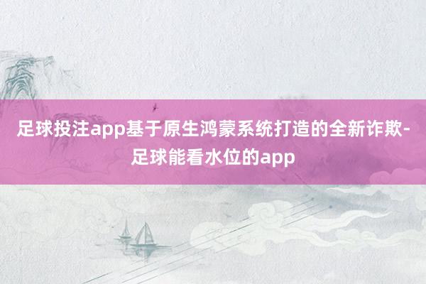 足球投注app基于原生鸿蒙系统打造的全新诈欺-足球能看水位的app