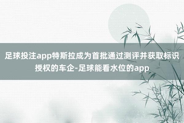 足球投注app特斯拉成为首批通过测评并获取标识授权的车企-足球能看水位的app