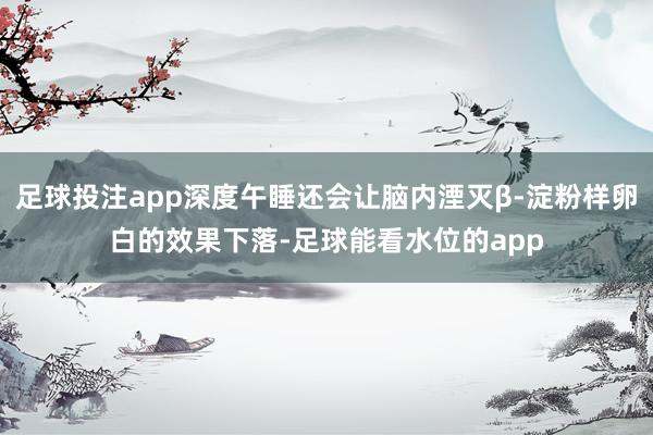 足球投注app深度午睡还会让脑内湮灭β-淀粉样卵白的效果下落-足球能看水位的app