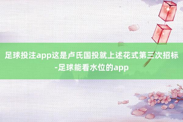 足球投注app这是卢氏国投就上述花式第三次招标-足球能看水位的app