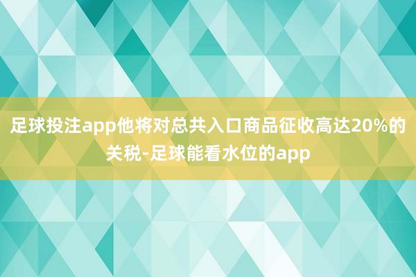 足球投注app他将对总共入口商品征收高达20%的关税-足球能看水位的app