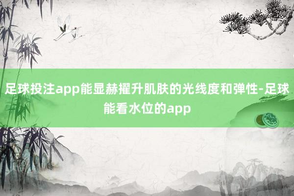 足球投注app能显赫擢升肌肤的光线度和弹性-足球能看水位的app