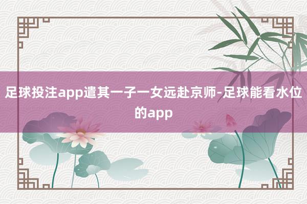 足球投注app遣其一子一女远赴京师-足球能看水位的app