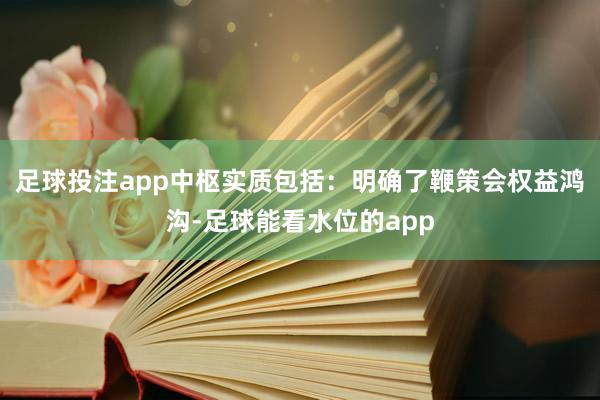 足球投注app中枢实质包括：明确了鞭策会权益鸿沟-足球能看水位的app