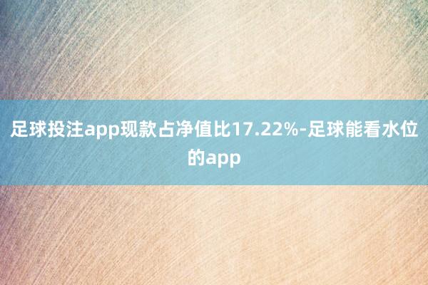 足球投注app现款占净值比17.22%-足球能看水位的app