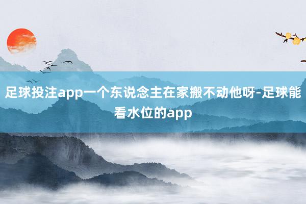足球投注app一个东说念主在家搬不动他呀-足球能看水位的app