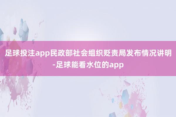 足球投注app民政部社会组织贬责局发布情况讲明-足球能看水位的app