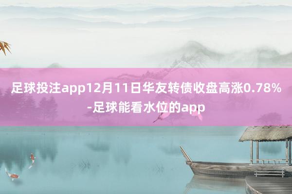 足球投注app12月11日华友转债收盘高涨0.78%-足球能看水位的app