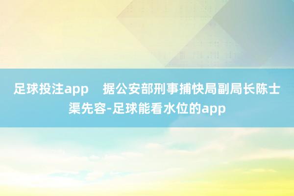 足球投注app    据公安部刑事捕快局副局长陈士渠先容-足球能看水位的app