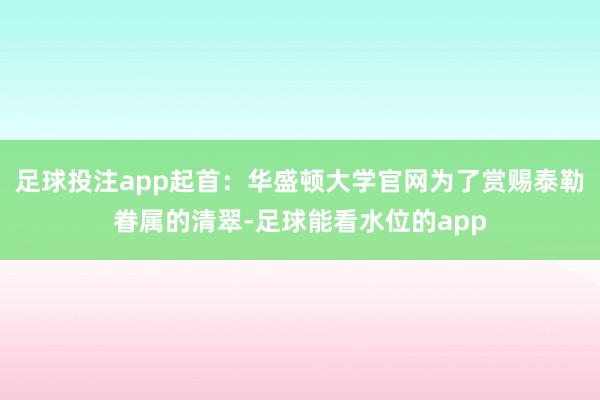 足球投注app起首：华盛顿大学官网为了赏赐泰勒眷属的清翠-足球能看水位的app