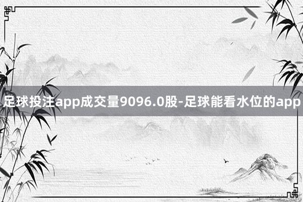 足球投注app成交量9096.0股-足球能看水位的app