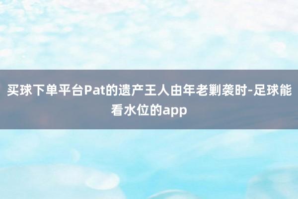 买球下单平台Pat的遗产王人由年老剿袭时-足球能看水位的app