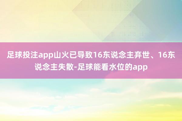 足球投注app山火已导致16东说念主弃世、16东说念主失散-足球能看水位的app