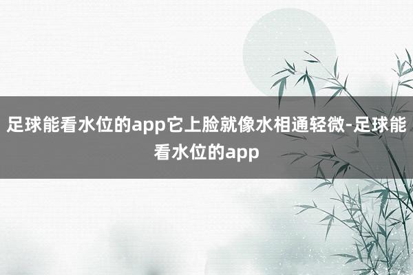 足球能看水位的app它上脸就像水相通轻微-足球能看水位的app
