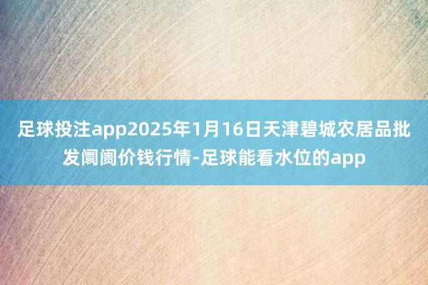 足球投注app2025年1月16日天津碧城农居品批发阛阓价钱行情-足球能看水位的app