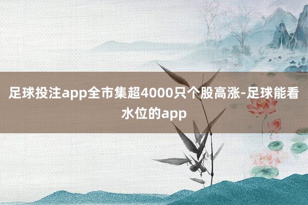 足球投注app全市集超4000只个股高涨-足球能看水位的app
