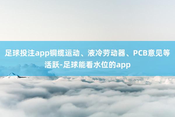 足球投注app铜缆运动、液冷劳动器、PCB意见等活跃-足球能看水位的app
