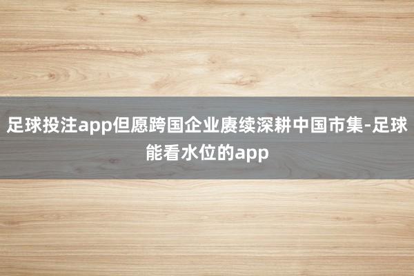 足球投注app但愿跨国企业赓续深耕中国市集-足球能看水位的app