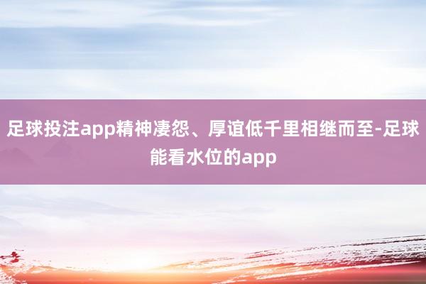 足球投注app精神凄怨、厚谊低千里相继而至-足球能看水位的app