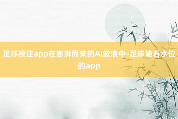 足球投注app在澎湃而来的AI波浪中-足球能看水位的app
