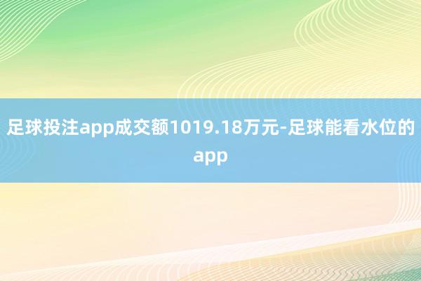 足球投注app成交额1019.18万元-足球能看水位的app