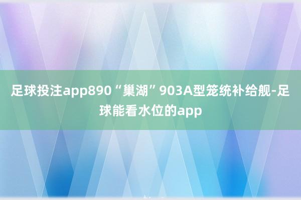 足球投注app890“巢湖”903A型笼统补给舰-足球能看水位的app