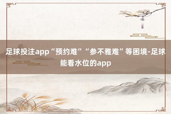 足球投注app“预约难”“参不雅难”等困境-足球能看水位的app