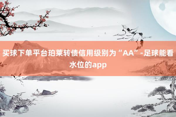买球下单平台珀莱转债信用级别为“AA”-足球能看水位的app