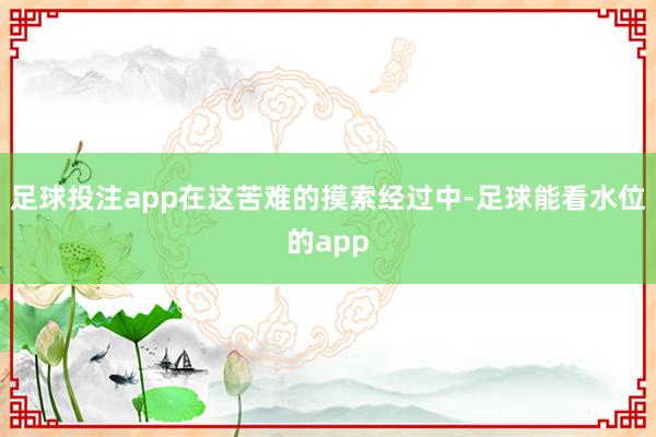 足球投注app在这苦难的摸索经过中-足球能看水位的app