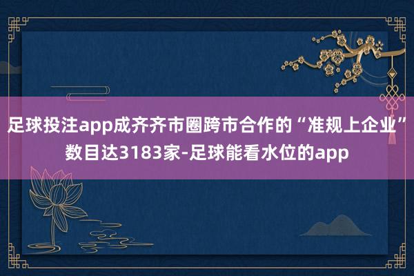 足球投注app成齐齐市圈跨市合作的“准规上企业”数目达3183家-足球能看水位的app
