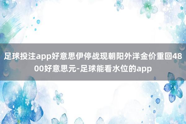 足球投注app好意思伊停战现朝阳外洋金价重回4800好意思元-足球能看水位的app